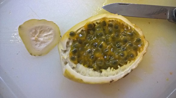 maracuja